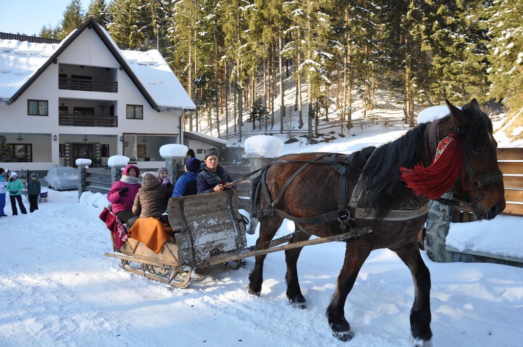 Perla Padurii Hotel Völgytanya Kültér fotó