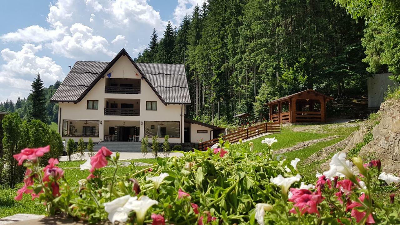 Perla Padurii Hotel Völgytanya Kültér fotó